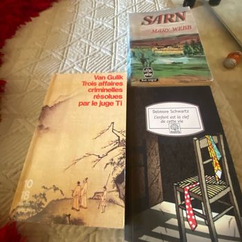 3 livres Sarn. Trois affaires criminelles résolues par le jugeTI. L enfant est la clef de cette vie