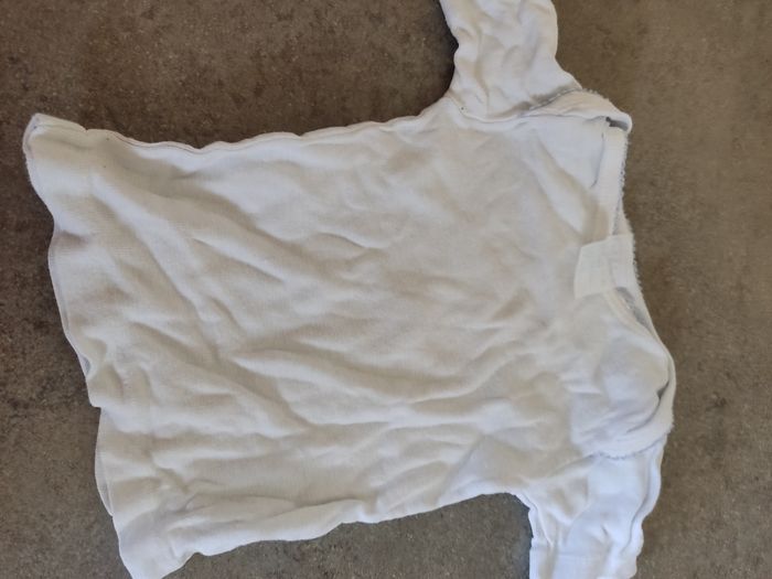 Lot 3 tee shirt manches courtes petit bateau 6 mois - photo numéro 6