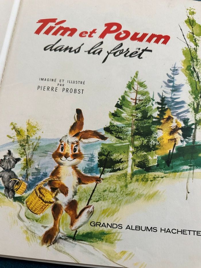Livre bd album vintage Tim et Poum dans la forêt nature enquête hibou Pierre Probst - photo numéro 7