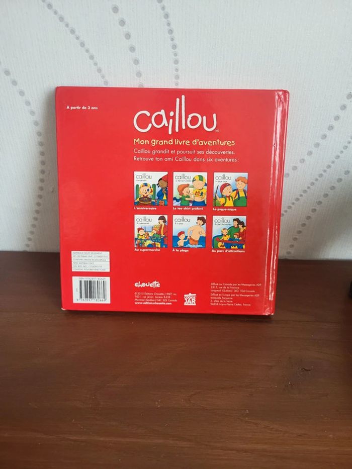 Livre caillou - photo numéro 3