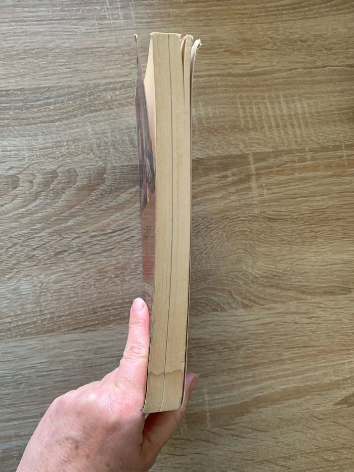 Shahidas les femmes kamikazes de Palestine - photo numéro 5