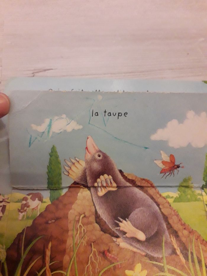 Livres à rabat "c'est comment ? " - photo numéro 6