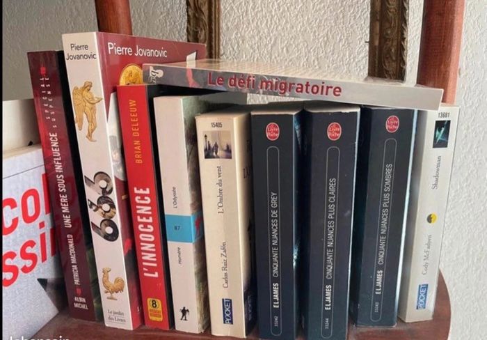 + de 100 romans et autres en tous genres (prix variables) - photo numéro 2