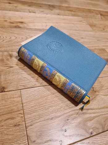 Rabindranaz Tagore Espagnol