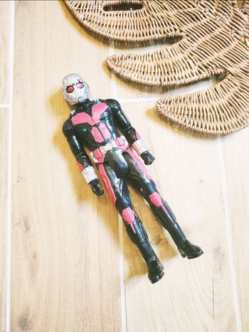 💫Ant-man grande figurine de 30 cm Avengers Marvel Hasbro