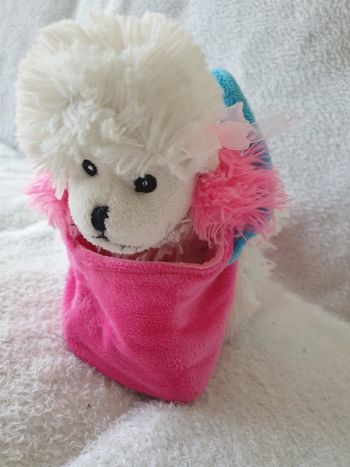 Petit chien et son sac