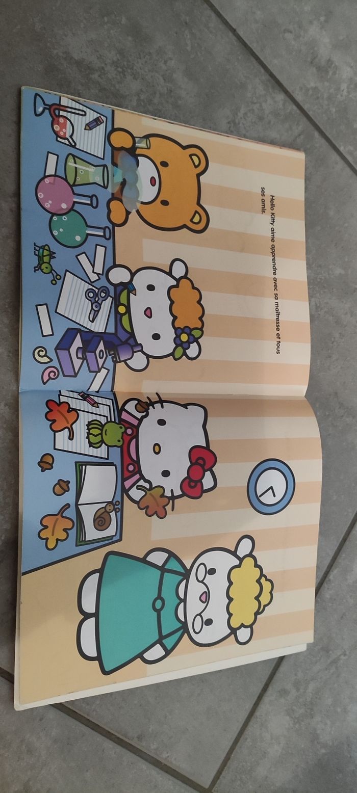Livre hello kitty - photo numéro 2