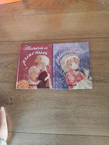 Lot livres princesse