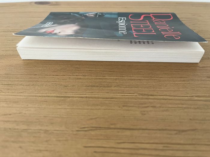 Lot 2 livres Danielle Steel - photo numéro 4