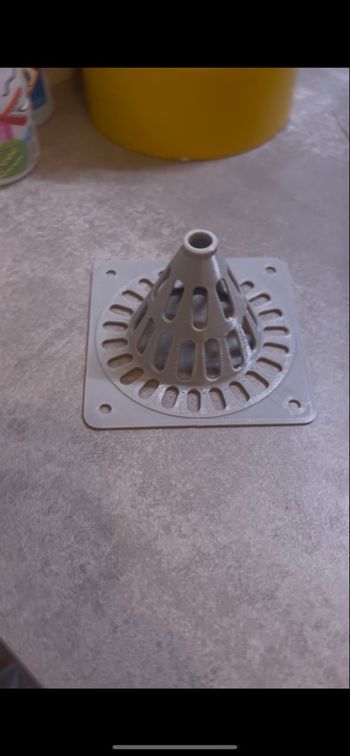 Piège sélectif frelon 