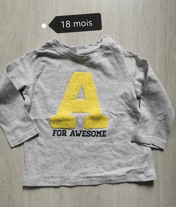 T-shirt manches longues garçon 18 mois
