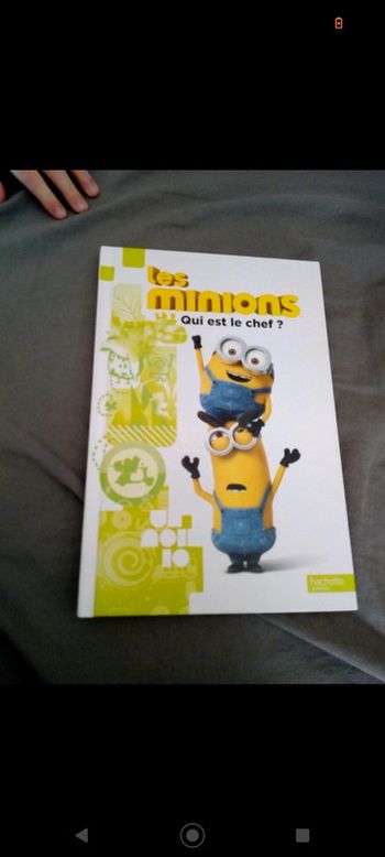 Livre Les minions Qui est le chef?