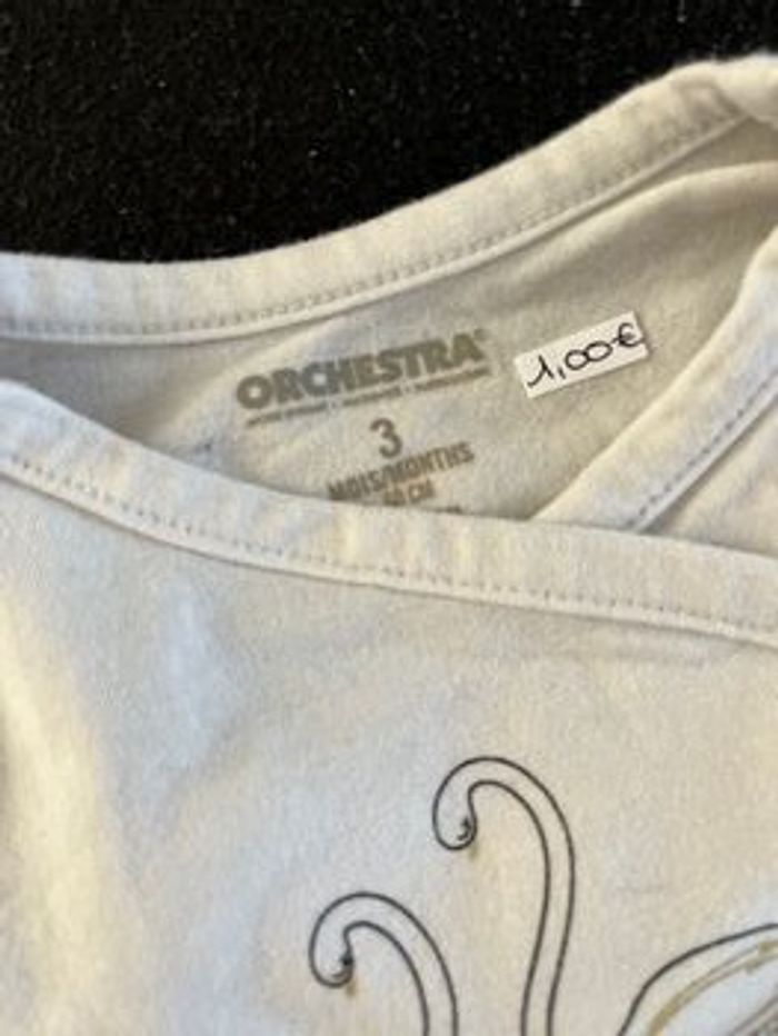 Bodie 3 mois - photo numéro 4