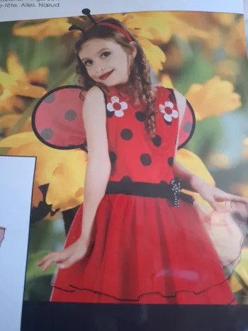 Robe Déguisement coccinelle