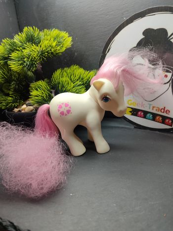 MLP019 My Little Pony g1 mein kleines Hasbro Sundance Nc No Country 