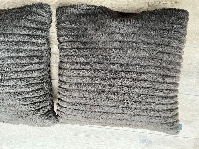 Lot de 2 coussins