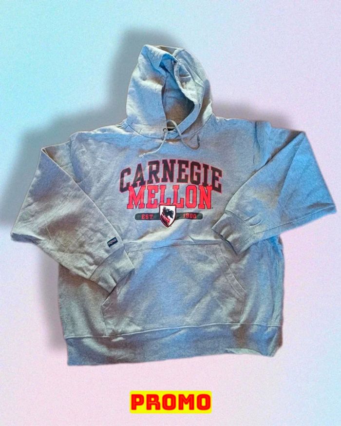Magnifique sweat à capuche Universitaire Jansport taille M