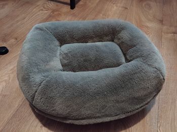 Panier ergonomique chat