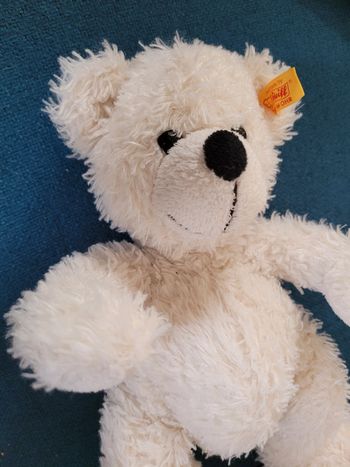 Magnifique Ours Peluche Steiff Blanc chiné 28cm ancien expressif doudou teddy bear