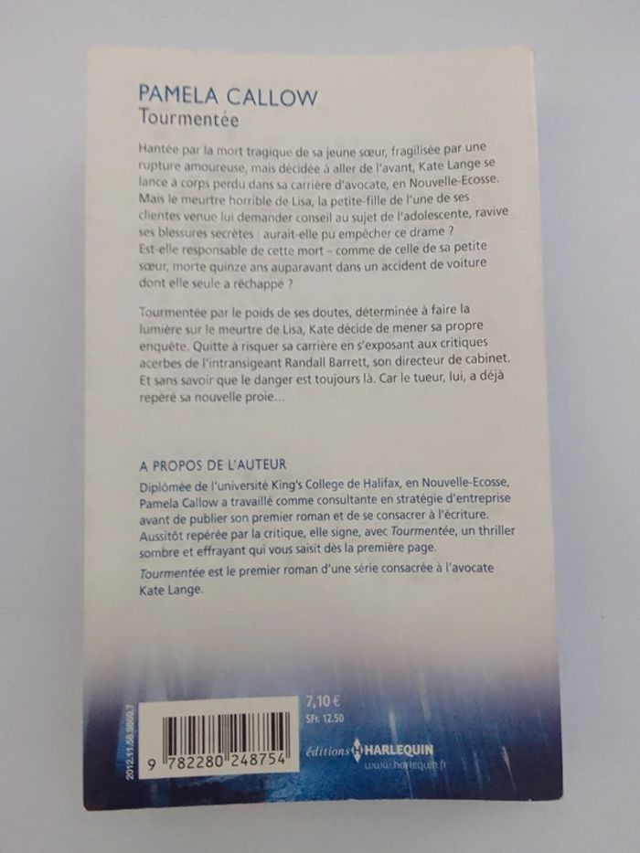 Pamela Callow 🪅 Tourmentée - photo numéro 2