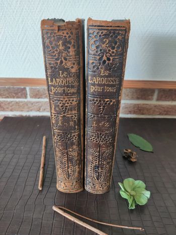 Encyclopédie Larousse illustré - Livre ancien
