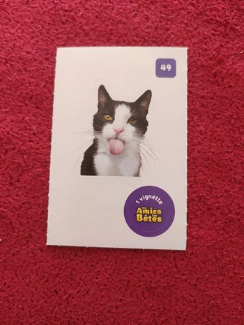 Carte nos amies les bêtes