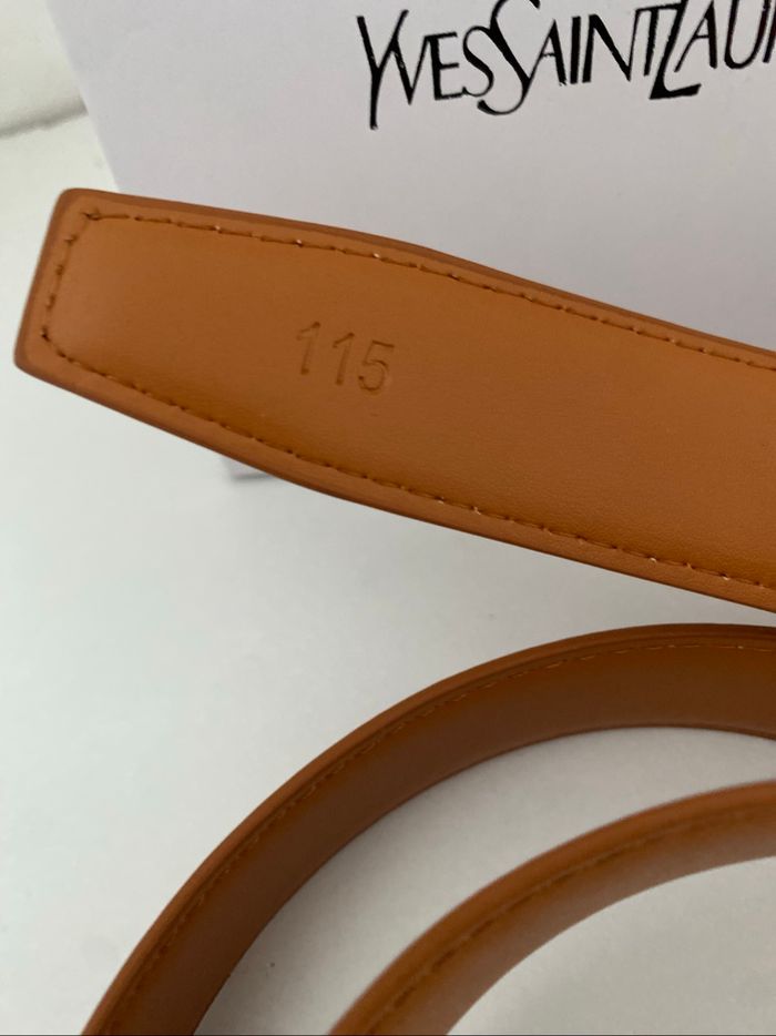 Ceinture saint Laurent - photo numéro 3