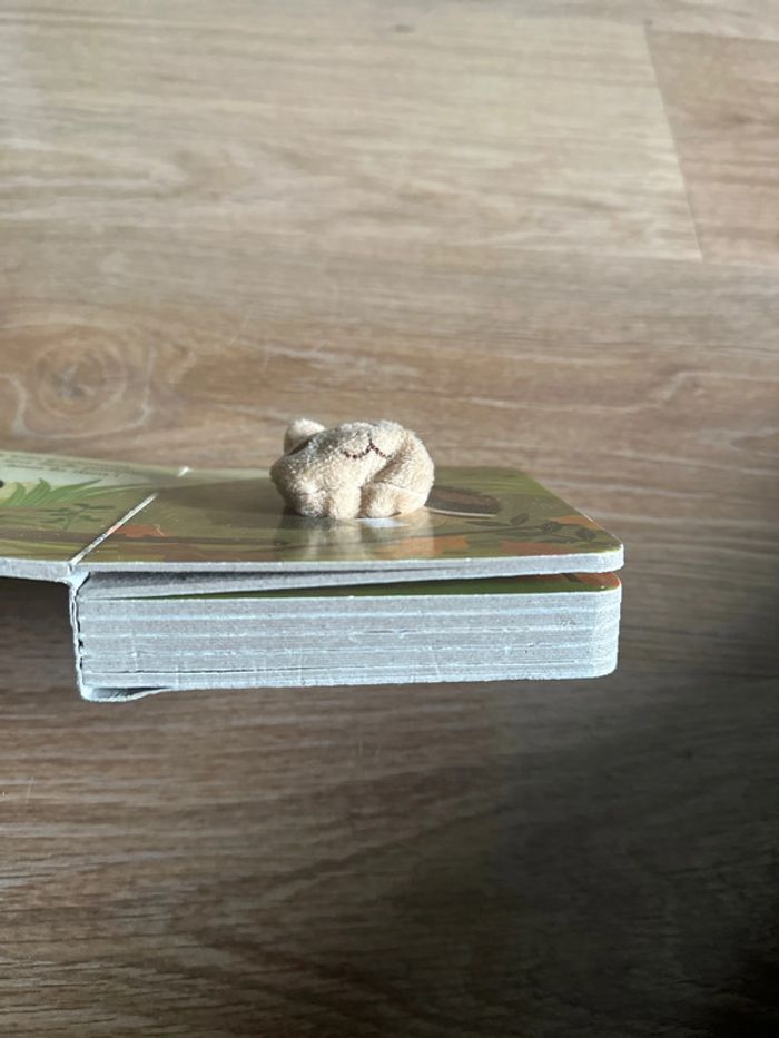 Livre bébé écureuil - mes livres marionnettes - photo numéro 5