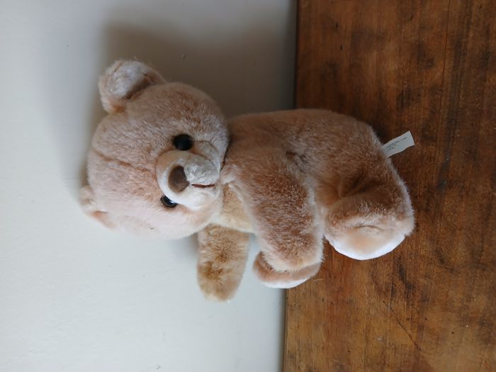 peluche ours - photo numéro 3
