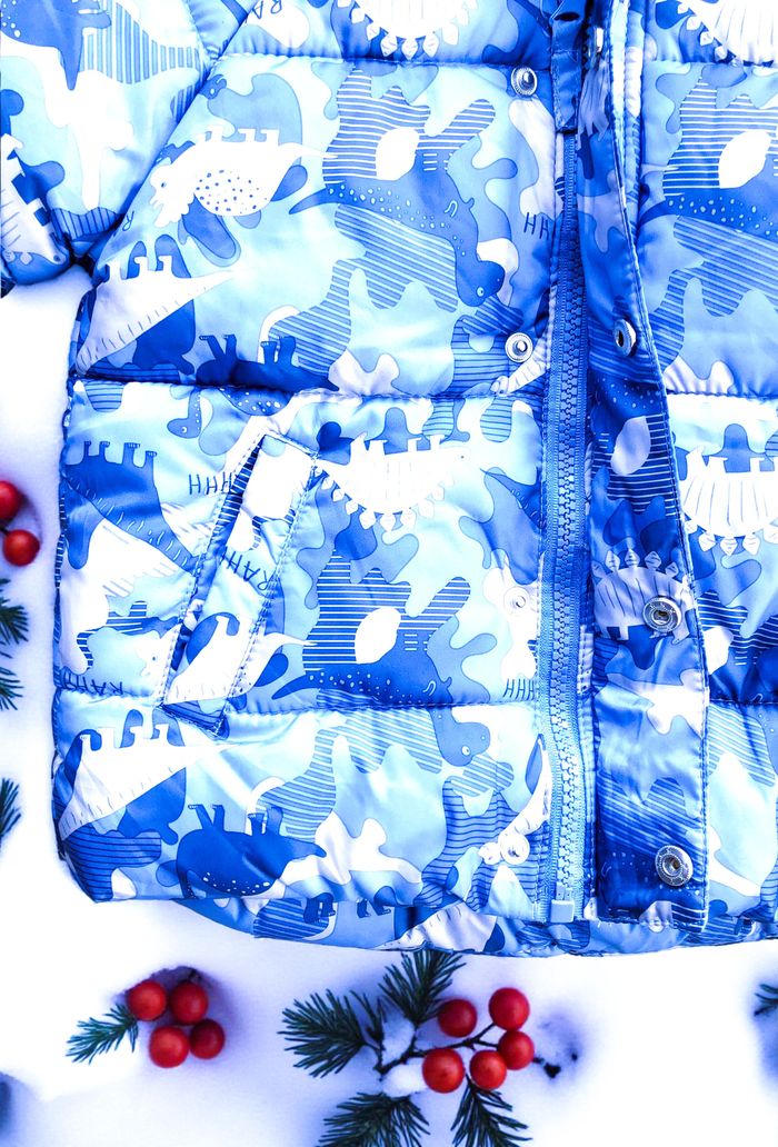 GÉMO - NEW - ANORAK GARÇON BLEU IMPRIMÉ DINOSAURES & INTÉRIEUR TYPE POLAIRE 18M - photo numéro 7