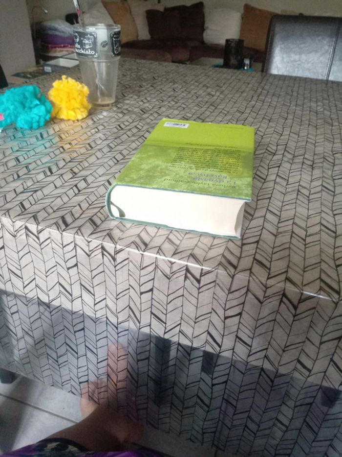 Roman : " La dynastie Ravenscar ". - photo numéro 5