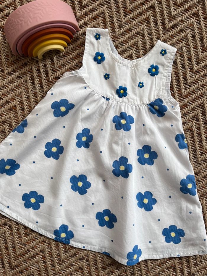 Robe Orchestra 12M