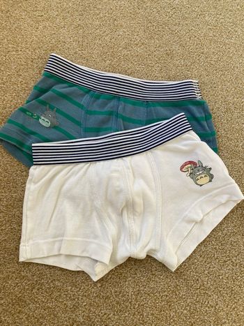 Lot de boxers petit bateau
