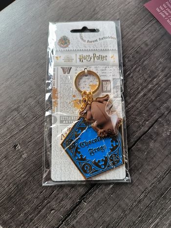 Porte-clés Harry Potter neuf