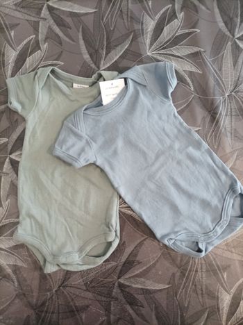 Lot de bodies (1 mois)