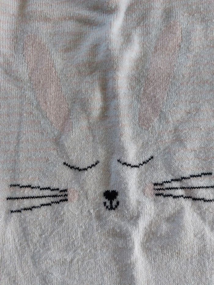 2 tee-shirt in extenso fille 4 ans - photo numéro 6