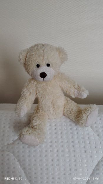 Ours en peluche neuf