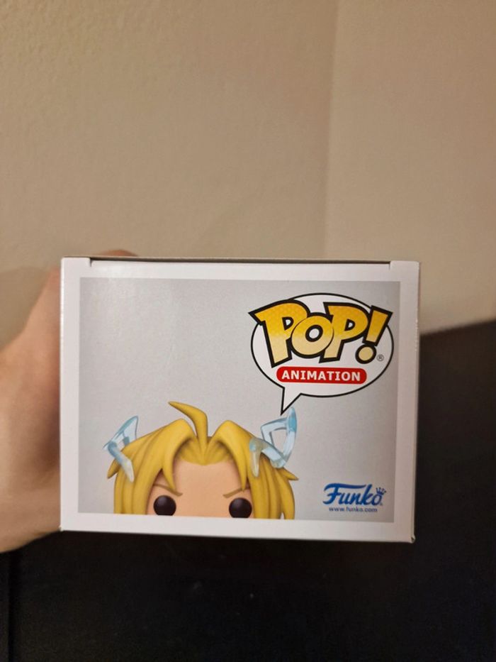 Edward Elric glow chase - photo numéro 5