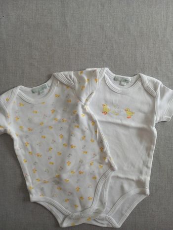 Lot 2 bodies mixte 6 mois TBE