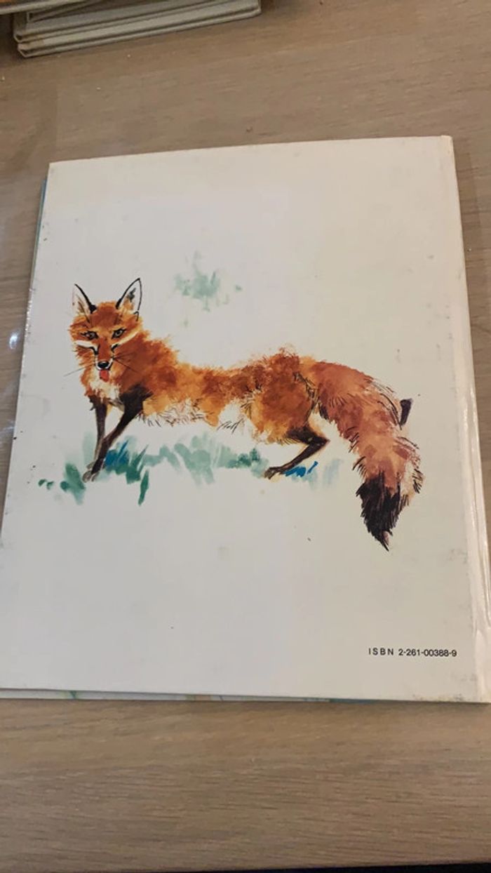 Le renard et Sébastien - photo numéro 4