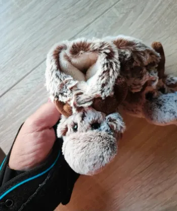 Chaussons élan