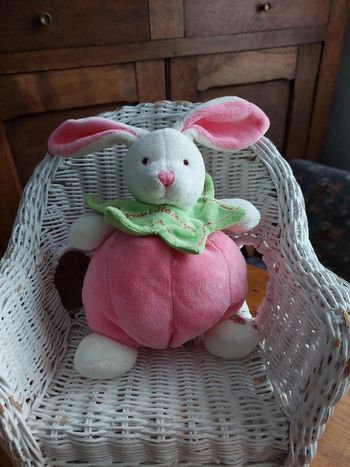 #P6 - Doudou peluche lapin boule Baby Nat'