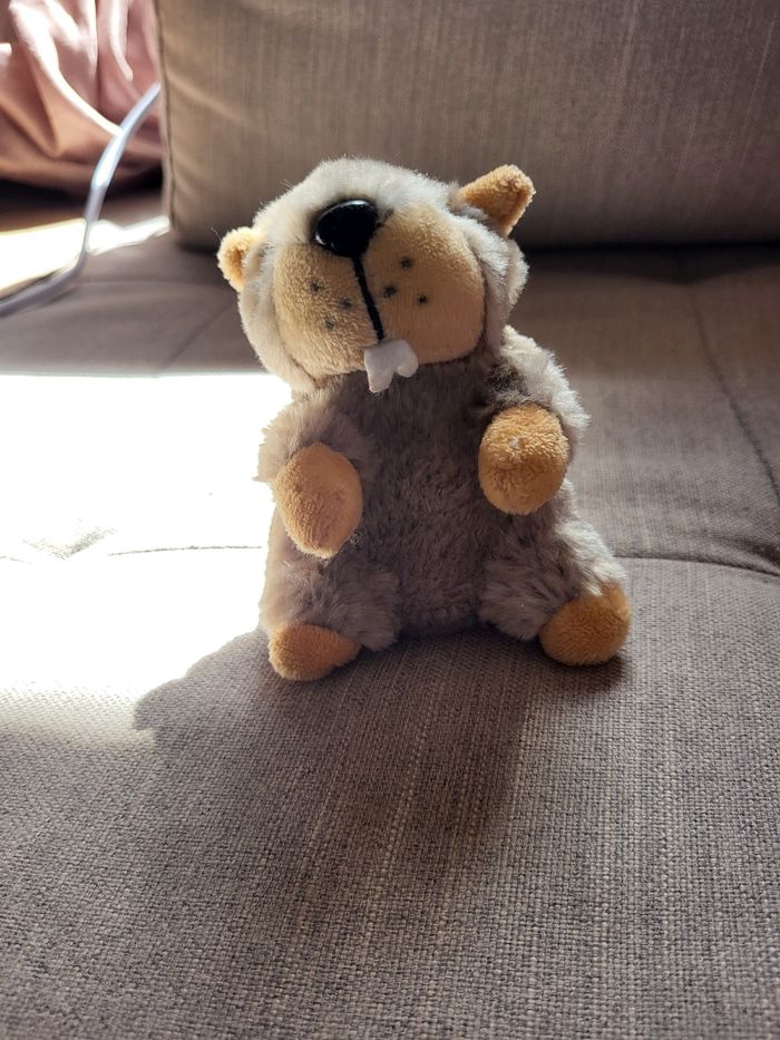 Petite marmotte. - photo numéro 2
