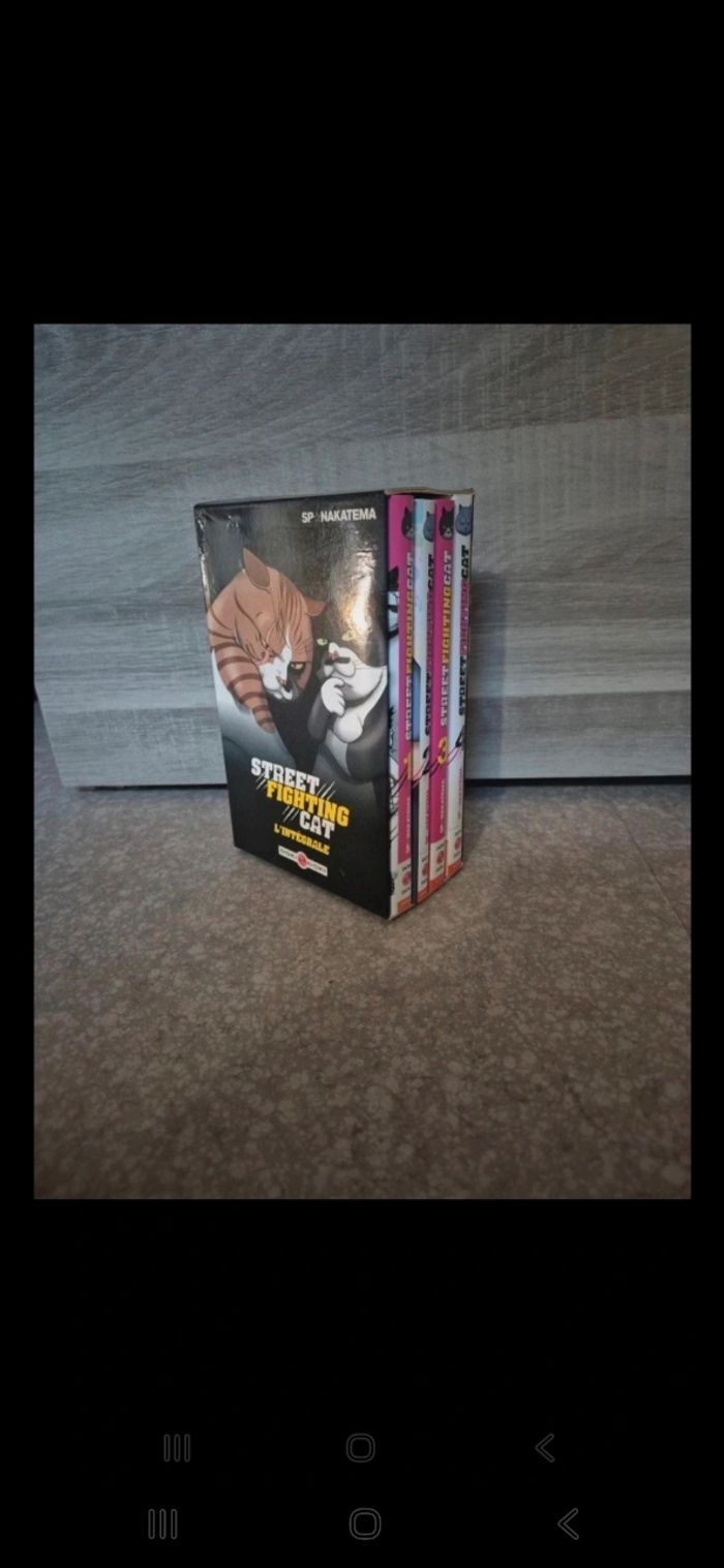 Manga Street Fighting Cat