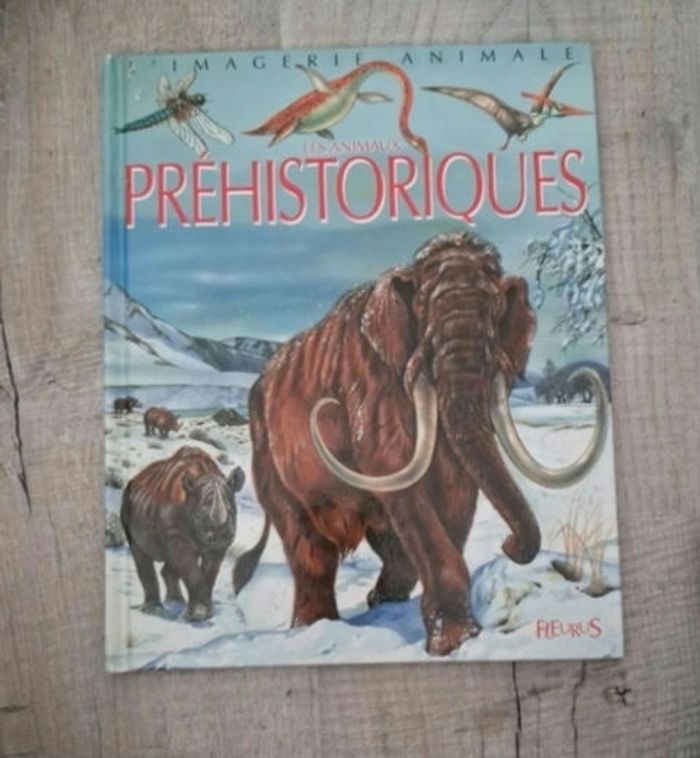 4 grande imagerie - photo numéro 2