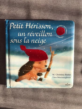 Petit hérisson un réveillon sous la neige