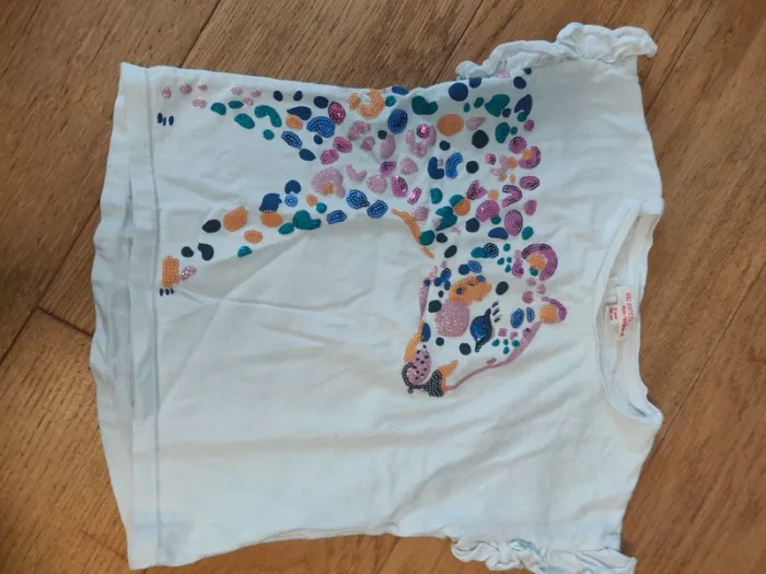 T-shirt du pareil au même
