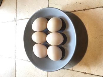 Lot oeufs de canne à cuisiner