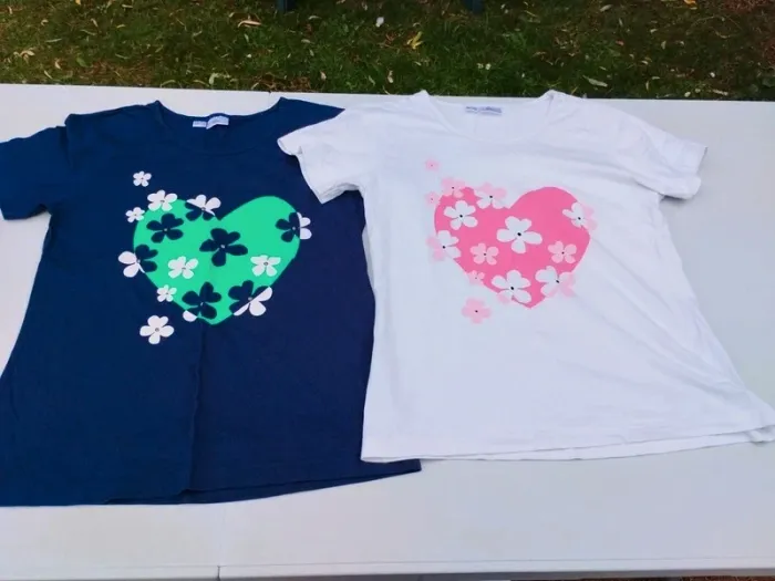Lot de 2 t-shirts