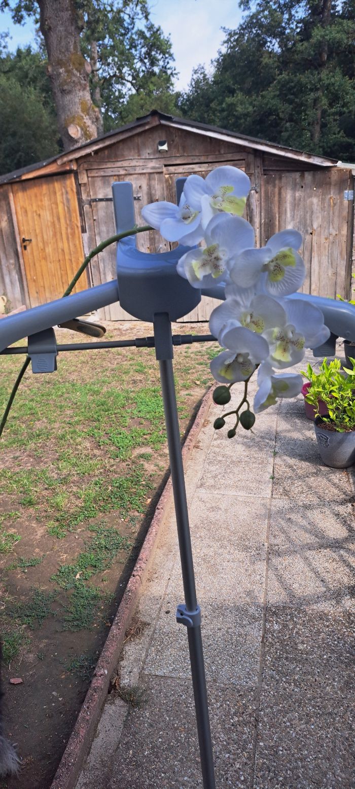 Lot de branche orchidée - photo numéro 2